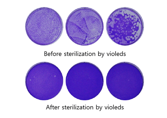 UV LED燈，能不能殺死冠狀病毒？